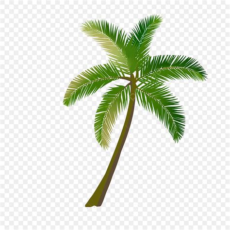 Palm Tree Clip Art Transparent Background