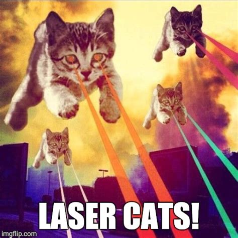 Image Tagged In Laser Cats Imgflip