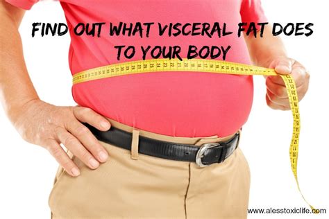 What Is Visceral Fat And How To Get Rid Of It Video Explanation A
