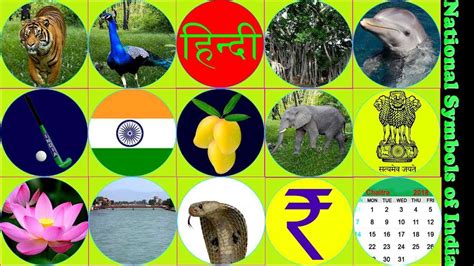 List Of National Symbols Of India And National Emblem Of India