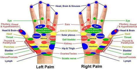 Major Hand Acupressure Points You Can Easily Find Tsmp Medical Blog