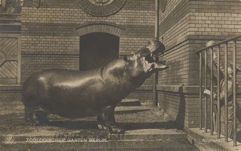 Opened in 1844 it covers 34 hectares and is located in berlin's tiergarten. Berlin, Charlottenburg, Berlin, Zoologischer Garten ...