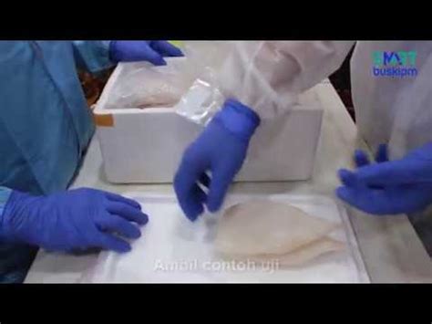 Pengambilan dan Penanganan Contoh Uji Virus Zoonosis #SmartBUSKIPM