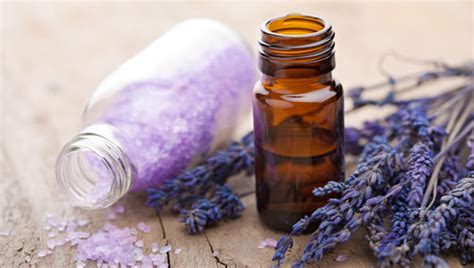 Amazing And Versatile Lavender Oil
