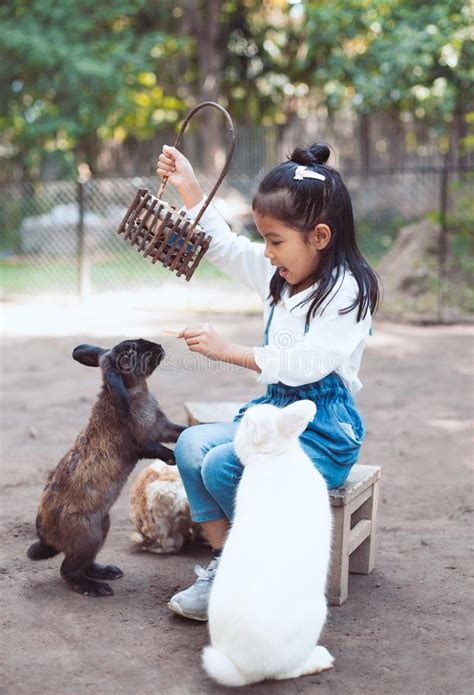 Cute Asian Child Girl Feed And Play With Real Rabbit Stock Photo