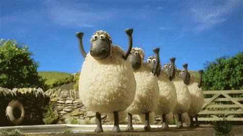 via giphy shaun the sheep swimming aardman animations