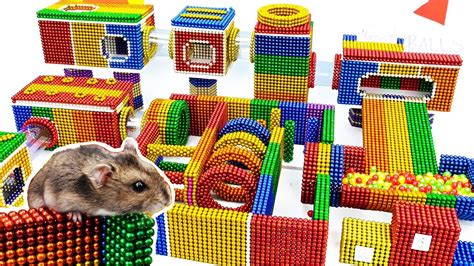Diy Build Amazing Maze For Funny Hamster Pet With Magnetic Balls