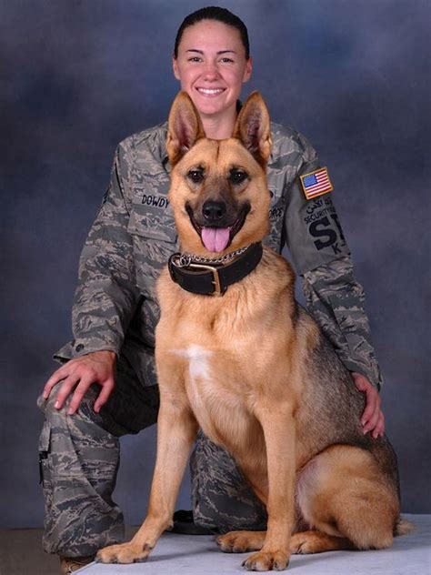 5 K9 Military Dogs That Deserve To Be Honored For K9 Veterans Day
