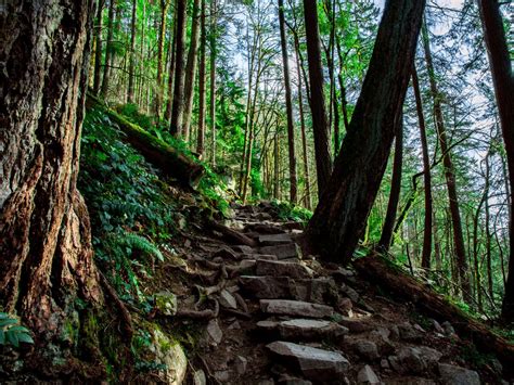 12 Essential Day Hikes Near Seattle Curbed Seattle