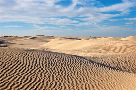 Desert Climate Ecosystems Adaptations Britannica
