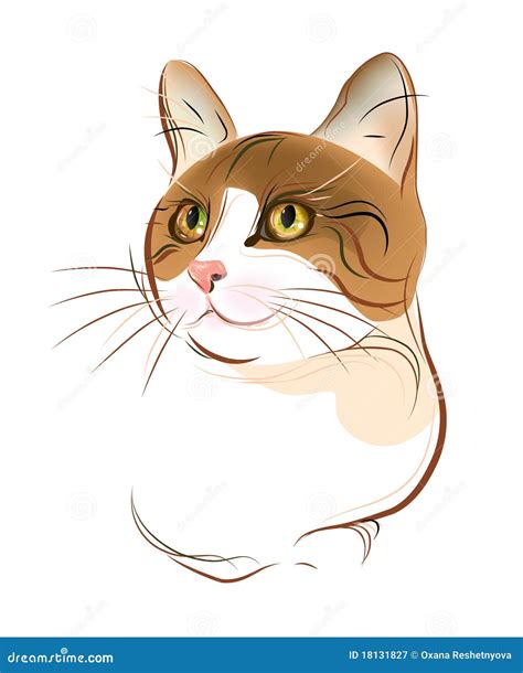 portrait of ginger tabby cat stock vector illustration of portrait linen 18131827