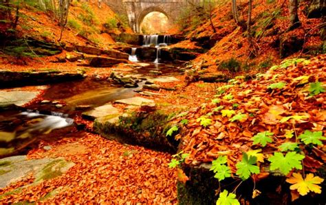 Autumn Sunset Rock Creek Wallpapers Wallpaper Cave