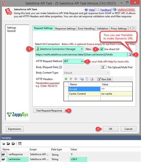 Ssis Salesforce Api Task Call Rest Soap Api Zappysys 22048 Hot Sex Picture
