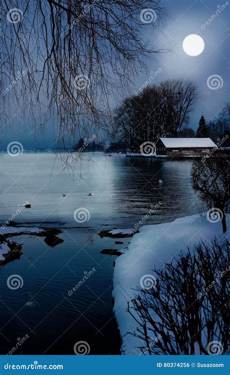 Moonlight Scenery In Winter Stock Photo Image Of White Calm 80374256