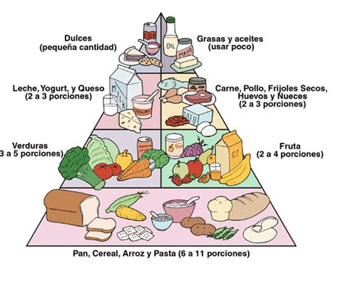Salud Y Bienestar Diferentes Piramides De Alimentacion