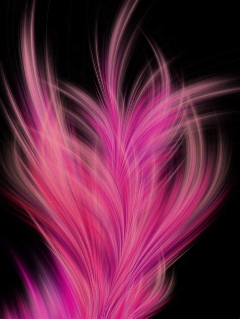 Pink Feather Background