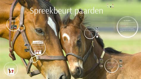Spreekbeurt Paarden By Jens Van Dongen On Prezi