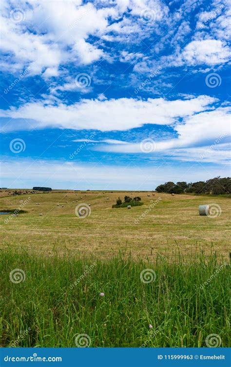 Spectacular Panorama Of Countryside Field Stock Image Image Of