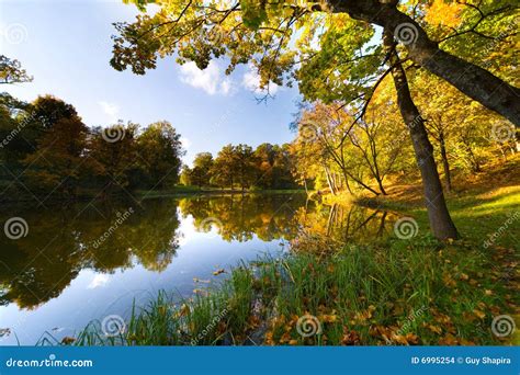 Autumn Landscape Of Lake Stock Photo Image Of Golden 6995254
