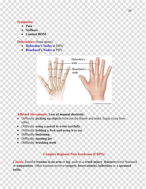 Bouchard S Nodes Heberden S Node Occupational Therapy Osteoarthritis