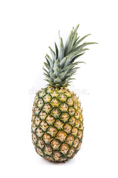 Ripe Fresh Whole Pineapple Stock Photo Image Of Fresh 83456764