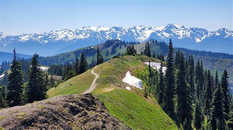 Olympic Mountains From Hurricane Ridge Olympic Natl Park Wa Oc