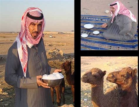 Categories camel milk for health the camel milk (cam) fresh, pasteurized, or powder; Camel Milk Ice Creams to hit markets soon - Dubai Expat Blog