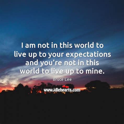 I Am Not In This World To Live Up To Your Expectations Idlehearts