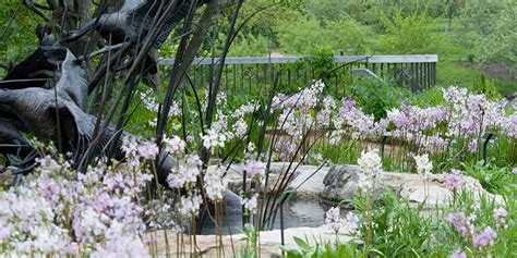 Native Plant Garden Chicago Botanic Garden