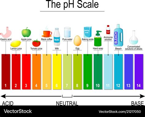 Ph Scale Universal Indicator Test Strips Vector Image