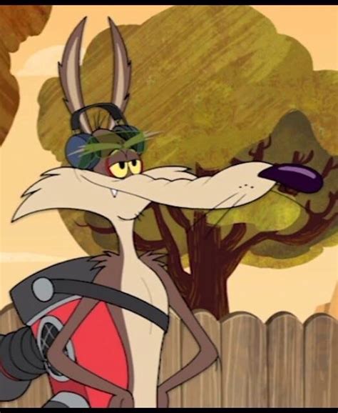 image wile e coyote wabbit villains wiki fandom powered by wikia