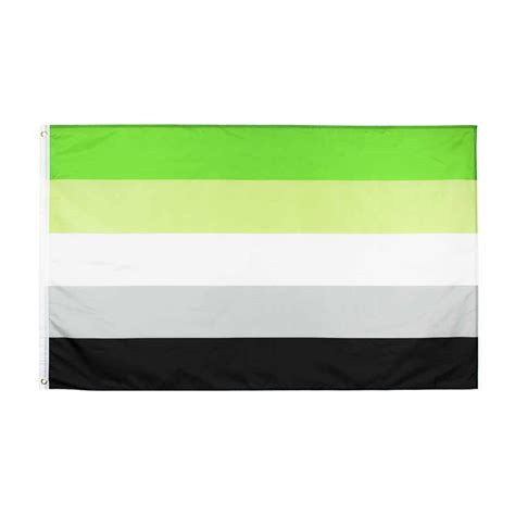 Rainbow Pride Flags 3′x5′ Asexual Lgbt Aromantic Flag China Aromantic Flag And Rainbow