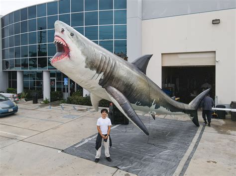 Giant Inflatable Shark Los Angeles Ca