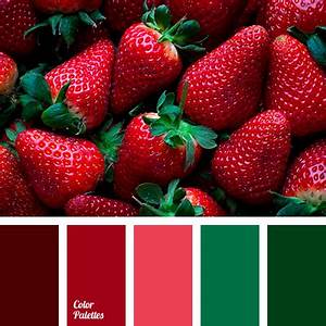 Strawberry Color Color Palette Ideas