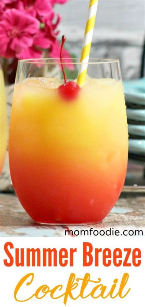 17 Refreshing Summer Cocktails Easy To Make Cocktail Mixes