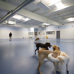 4 paws community center provides bloomfield hills with professional boarding, daycare, training & grooming services. Paws Pet Resort and Spa - 33 Photos & 18 Reviews - Pet ...
