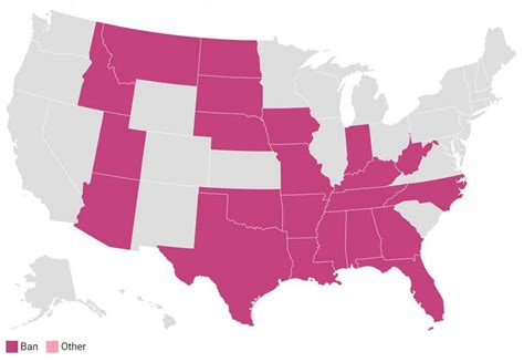 These States Have Banned Gender Affirming Care Medical Advise