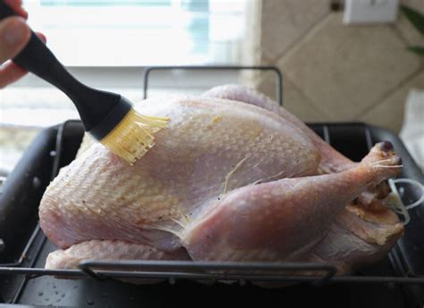 oven roasted turkey for beginners lauren s latest