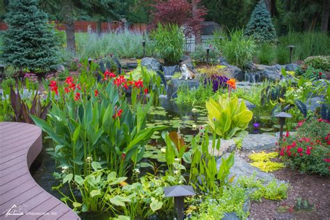 Top 10 Aquatic Plants For Water Features Ponds And Waterscapes