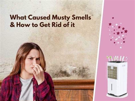 Mold or mildew in the walls is the most serious cause of musty smells in houses. How to Remove Musty Smells from the House Through Dehumidifier
