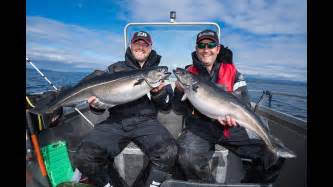 Chatte kostenlos mit leuten in hitra, norwegen. Angeln in Norwegen, Region Hitra, Angelurlaub ...