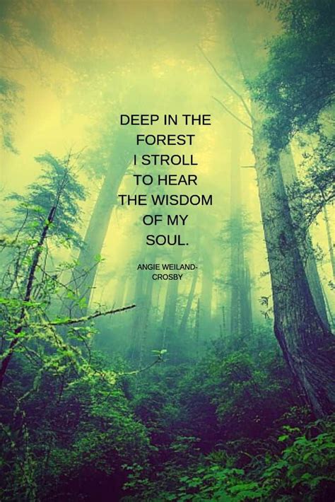 Nature Quotes For The Wandering Soul Nature Quotes Trees Green