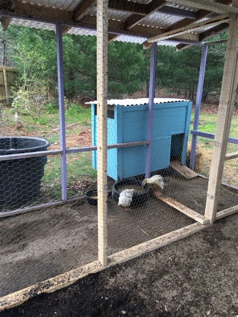 Cut and install the wire mesh to the door using staples. How to Make a Duck House - The Cape Coop