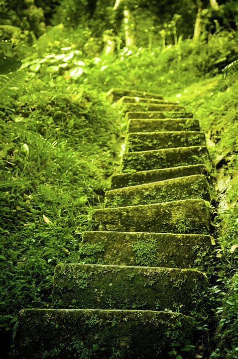 Green Stair Photograph By Pixalot Fine Art America