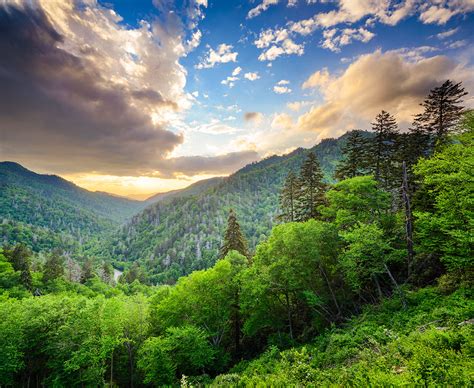 Great Smoky Mountain Hiking Tours And Backpack Trips
