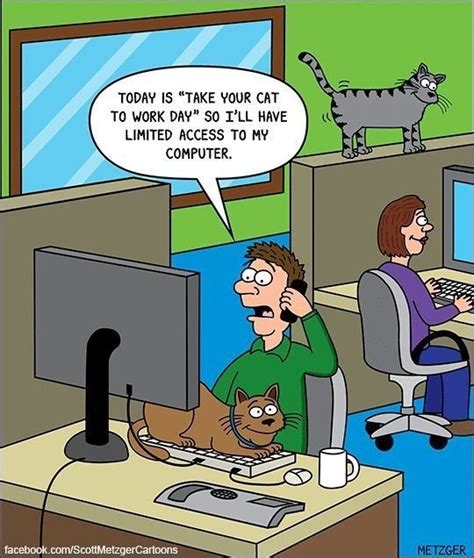 Take Your Cat To Work Day Cats Funny Cartoon Funny Cats Funny Cat Memes
