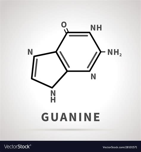 Chemical Structure Guanine One Four Royalty Free Vector