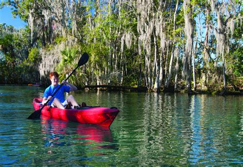 Maybe you would like to learn more about one of these? Crystal River Manatees Create Majesty in Kings Bay | Good ...