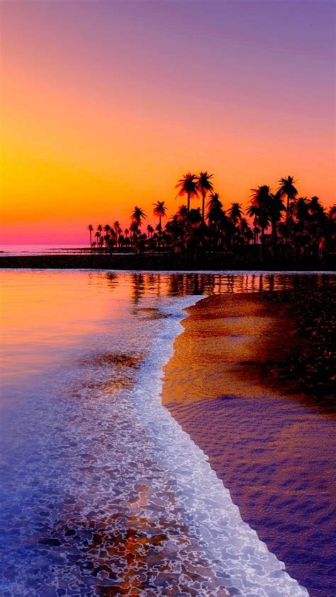 720x1280 Wallpaper Beach Tropics Sea Sand Palm Trees Sunset