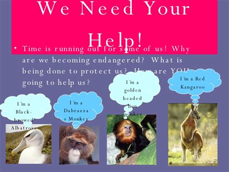 Here you may to know how to save endangered animals essay. Endangered Animals Powerpoint1